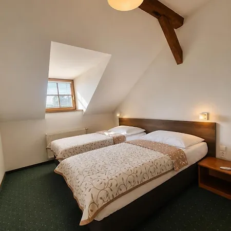 Certousy Otel 3*
