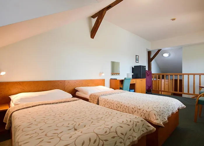 Certousy Otel 3*